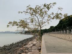-深圳湾公园(南山区)