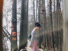 -东湖落雁景区