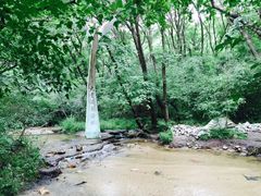 -大青沟风景区
