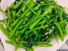 蒜泥空心菜-QQ海鲜餐厅