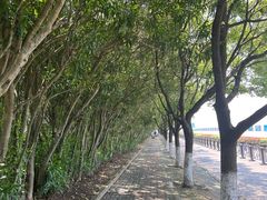 -碧海金沙