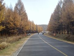 -塞罕坝国家级自然保护区