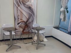 -共舞时光猫咖·狗咖(新街口店)