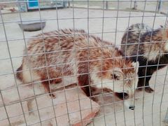 -武汉紫薇都市田园