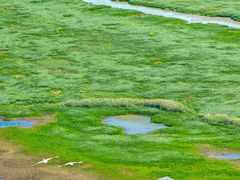 -鄱阳湖国家湿地公园