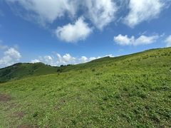 -灵山