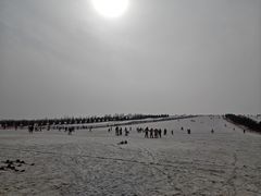 -呼兰河口湿地公园