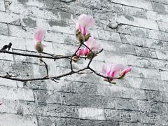 -东华门大街小区