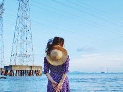 -宝安西湾红树林湿地公园