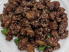 孜然羊肉-京天红酒家(虎坊路店)
