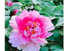 -北京市劳动人民文化宫