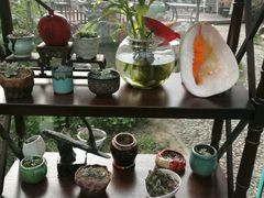 -漫渡庄绿岛花园•隐世庭园菜(滨湖店)