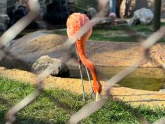 -沈阳森林动物园