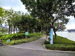 -顺峰山公园