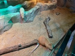 -酷嗒动物文化乐园(cutezoo西溪乐天城店)