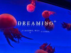 -上海海洋水族馆