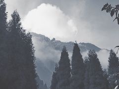 -九峰山