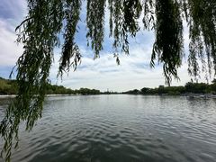 -吴裕泰茶庄(鼓楼店)