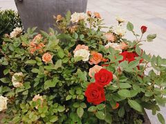 -小芙蓉湘菜馆(易生活购物公园店)