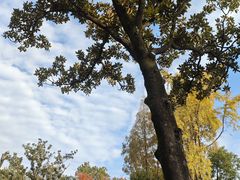 -上海孙中山故居纪念馆