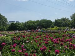 -黑龙江省森林植物园