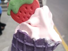 -麦当劳(小白楼店)
