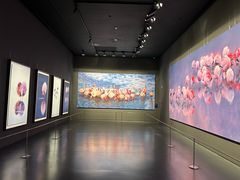 -罗红摄影艺术馆