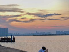 -瑶湖郊野森林公园