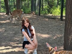 -南戴河国际娱乐中心