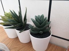 -捕螺记螺蛳粉(东关大街店)