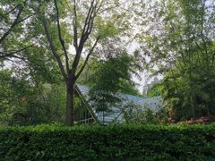-新虹桥中心花园