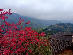-南靖田螺坑土楼群景区