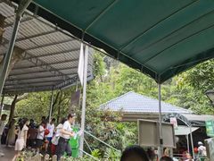 -天鹿湖森林公园
