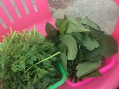-霞姐屯昌枫木香草鸭店(海螺店)