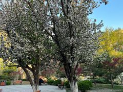 -元大都城垣遗址公园