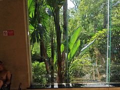 -海兰云天度假区温泉