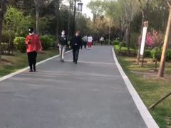 -迎泽公园