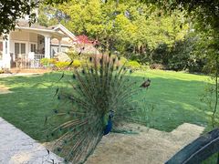 -J Create城市露营咖啡·简餐·宠物(上海动物园店)