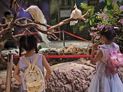 -正佳雨林生态植物园