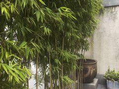 -粗茶淡饭·隐庐私厨(东亭店)
