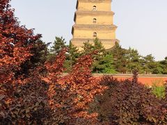 -大慈恩寺(大雁塔)