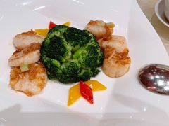 X.O西兰花带子-8餐厅(新葡京酒店)