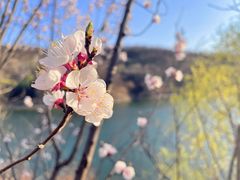 -北京西山国家森林公园