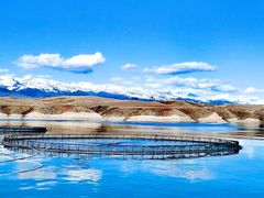 -原志优秀食材·匠心料理·海胆主题(金亿广场店)