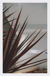 -无界瑜伽普拉提