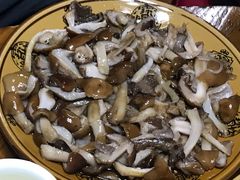 -野菌王牦牛肉汤锅