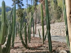 -MOJ coffee(瓯海泽雅水碓坑店)