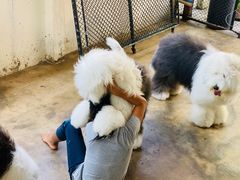 -TrueLove @ Neverland (Husky Cafe)