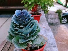 -自在弥林花园餐厅(云栖店)