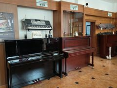 -秦川乐器(河西店)